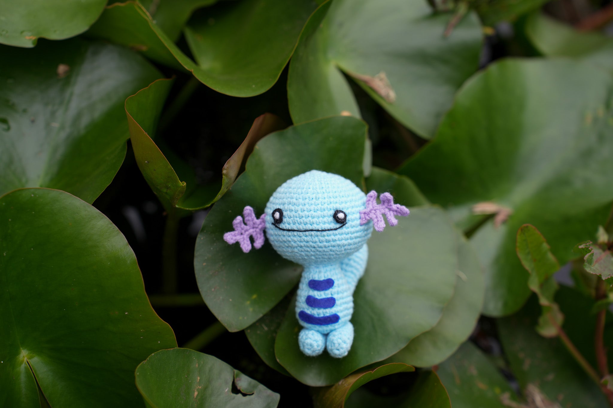 Crochet Wooper